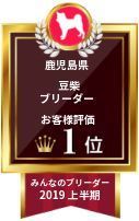 評価3.jpg